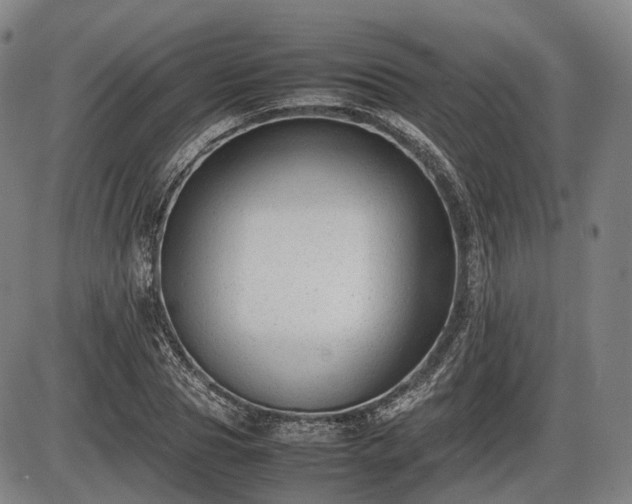 X0000086060929200703301037