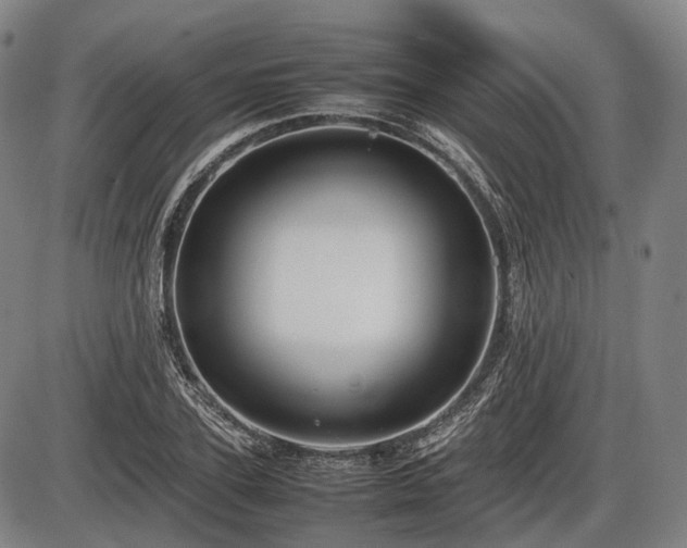 X0000086060931200703301037