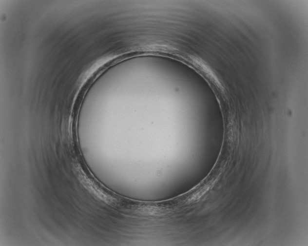 X0000086060932200703301037