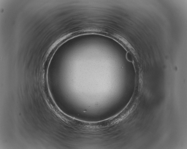 X0000086060933200703301037