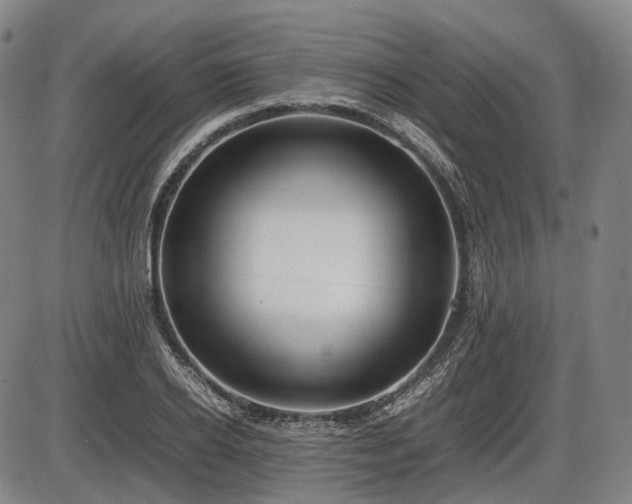 X0000086060934200703301037