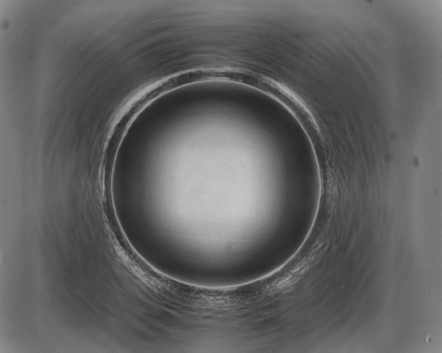 X0000086060935200703301037