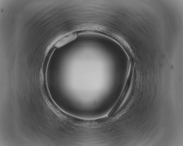 X0000086060936200703301037