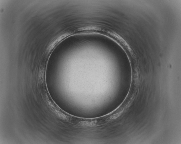 X0000086060937200703301037