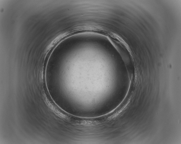 X0000086060938200703301037