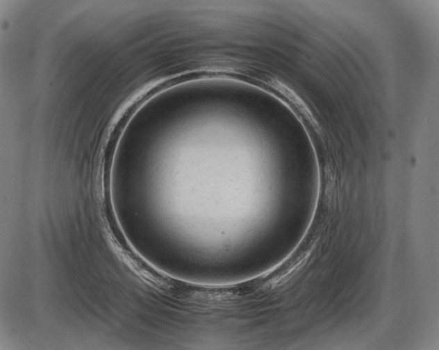 X0000086060939200703301037