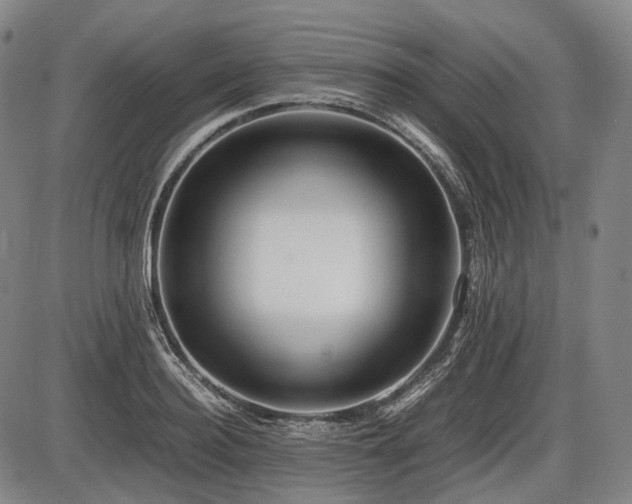 X0000086060940200703301037