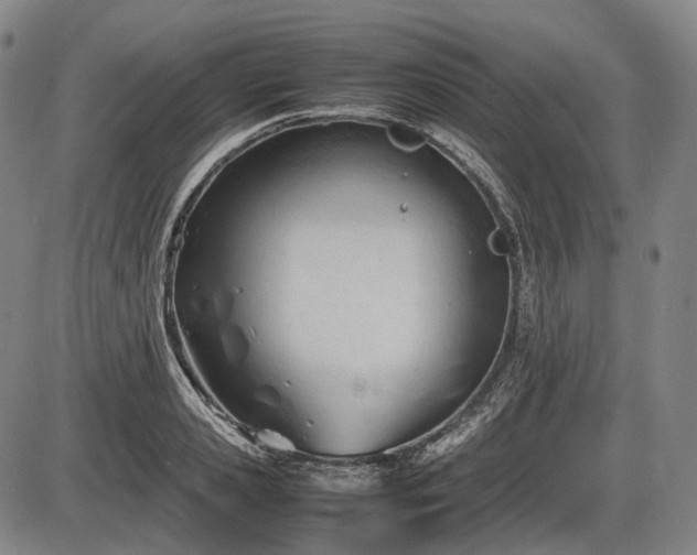 X0000086060941200703301037