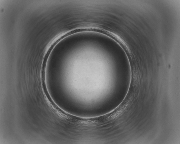 X0000086060943200703301037