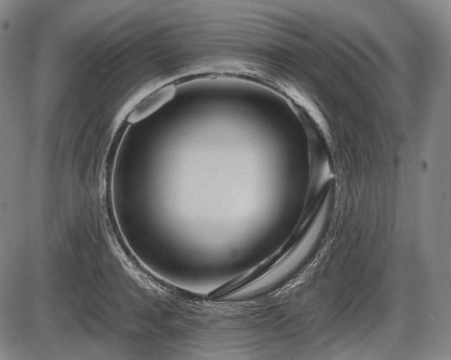 X0000086060944200703301037