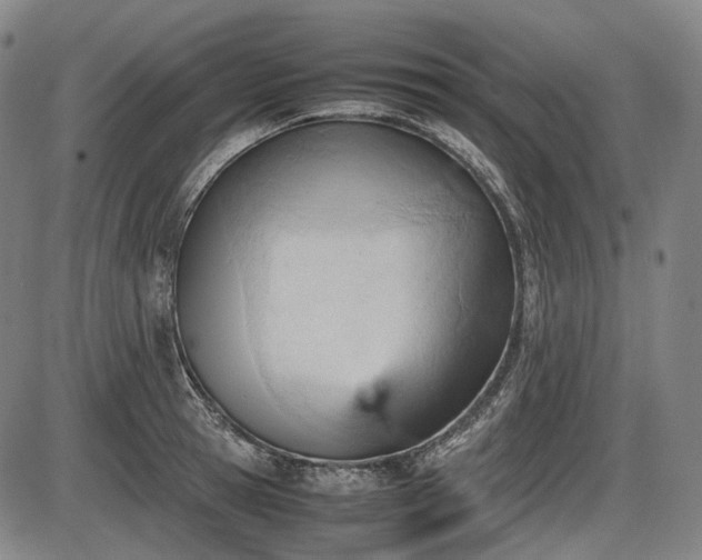 X0000086060945200703301037