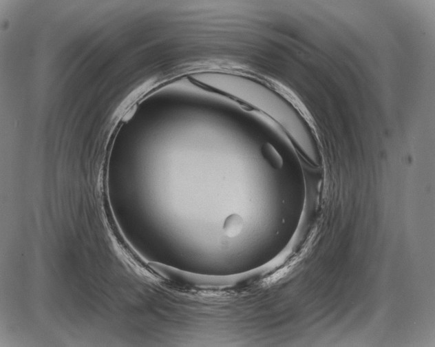 X0000086060946200703301037