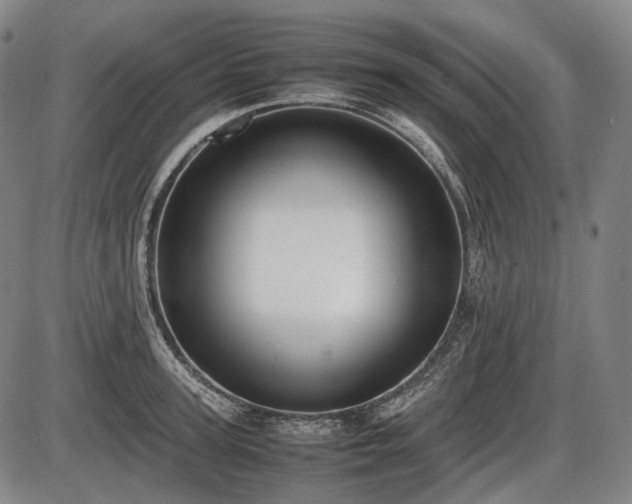 X0000086060947200703301037