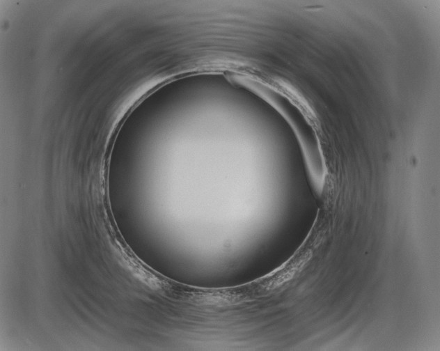 X0000086060948200703301037