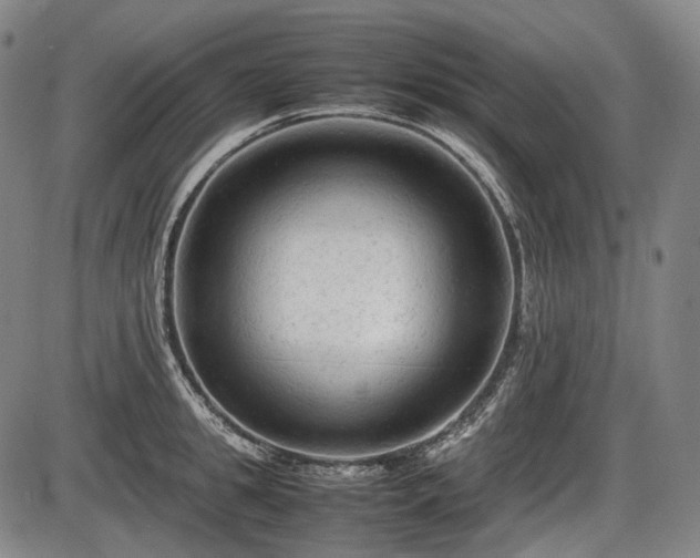 X0000086060949200703301037