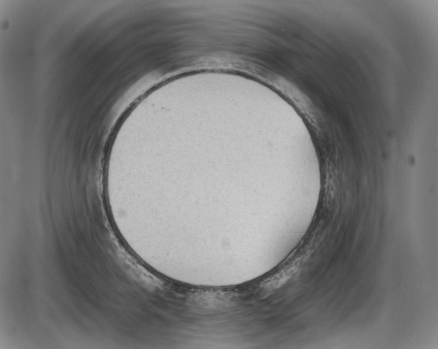 X0000086060950200703301037