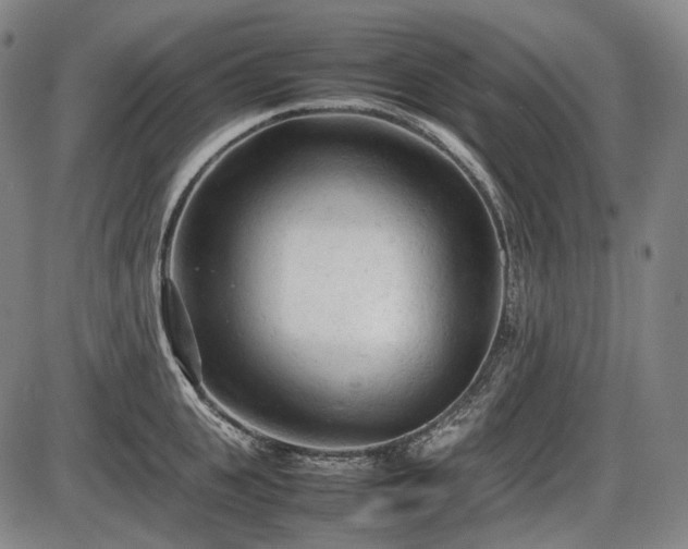 X0000086060951200703301037