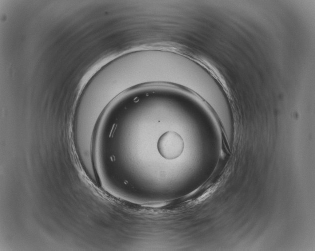 X0000086060952200703301037