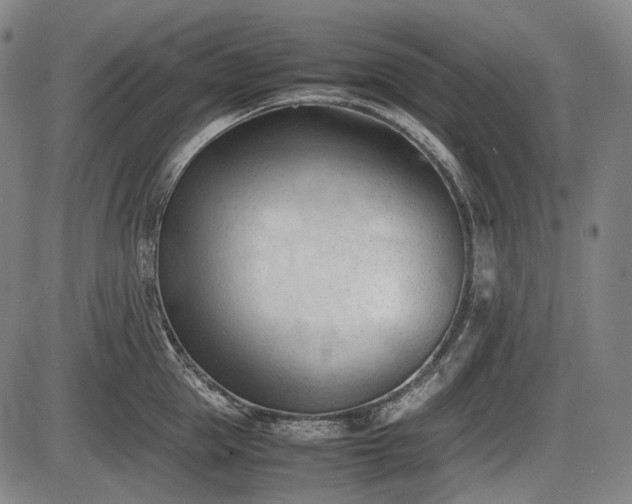 X0000086060953200703301037