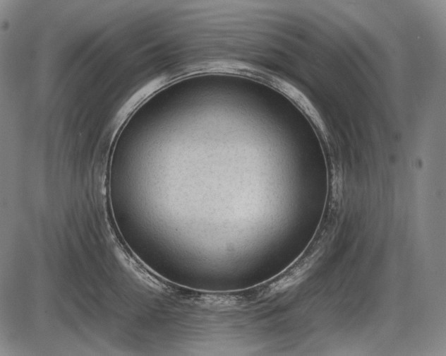 X0000086060954200703301037