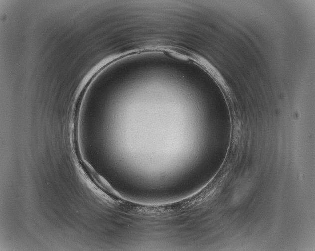 X0000086060955200703301037