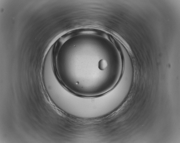 X0000086060956200703301037