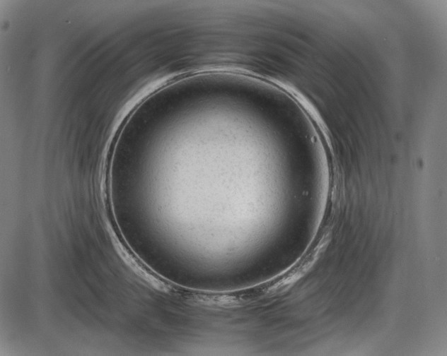 X0000086060957200703301037