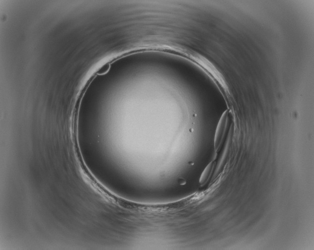 X0000086060958200703301037