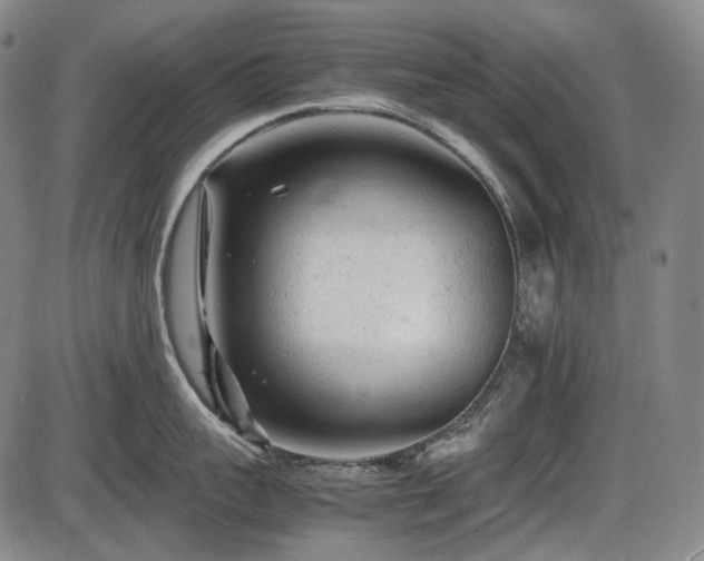 X0000086060959200703301037