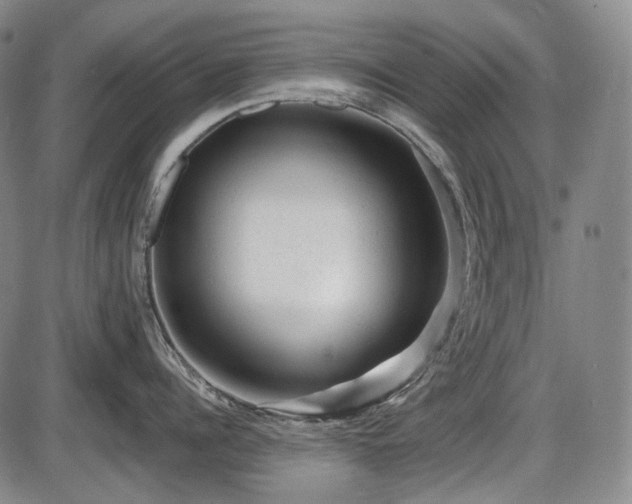 X0000086060960200703301037