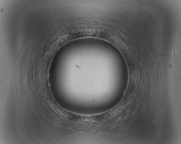 X0000086060961200703301037