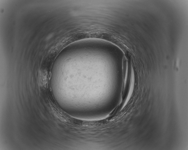 X0000086060963200703301037