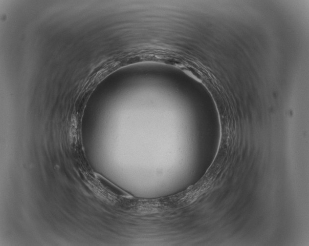 X0000086060964200703301037