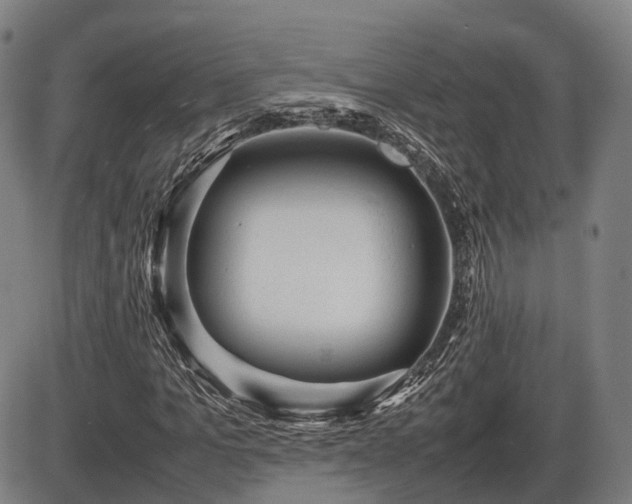 X0000086060965200703301037