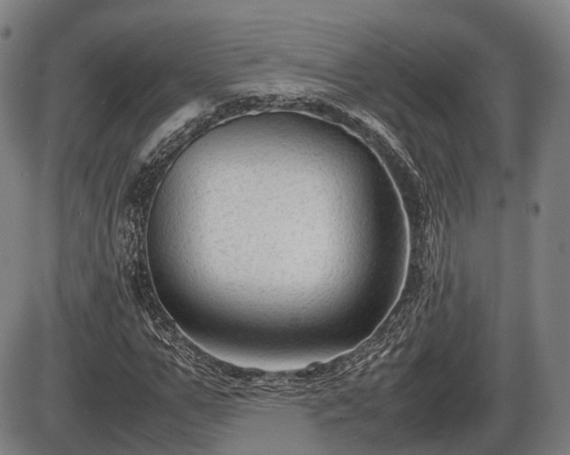 X0000086060967200703301036