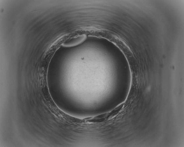 X0000086060968200703301036