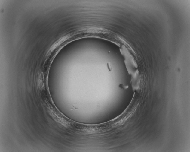 X0000086060970200703301036