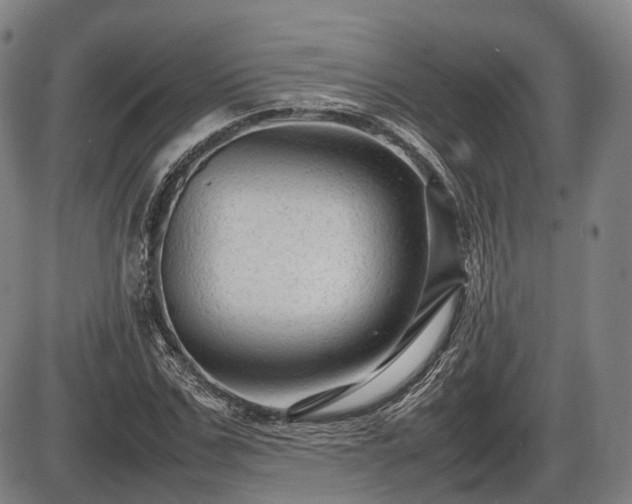 X0000086060971200703301036