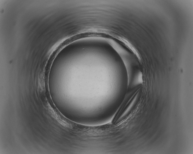 X0000086060972200703301036