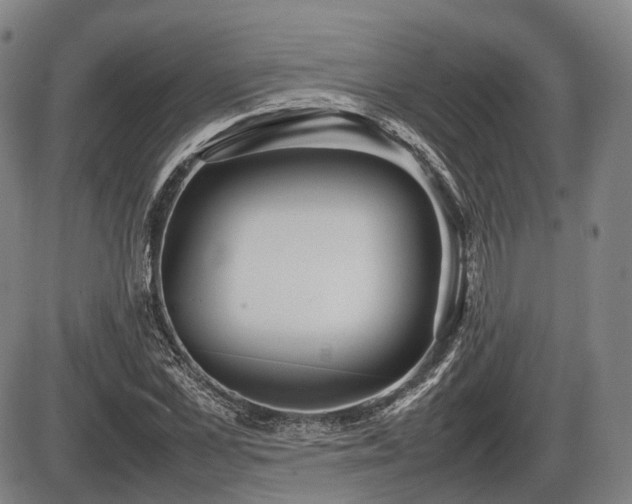 X0000086060973200703301036