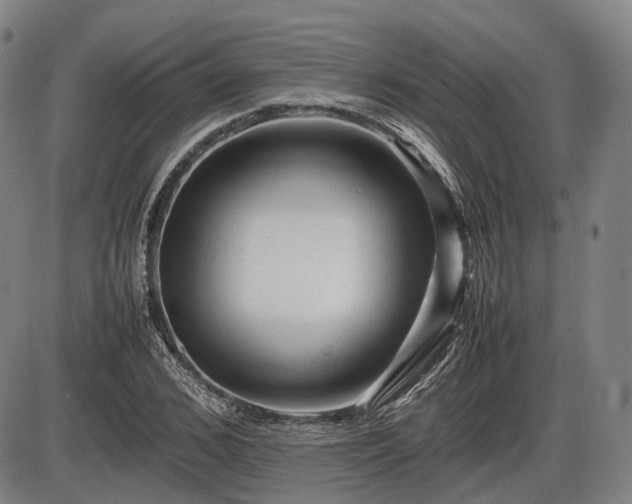 X0000086060976200703301036