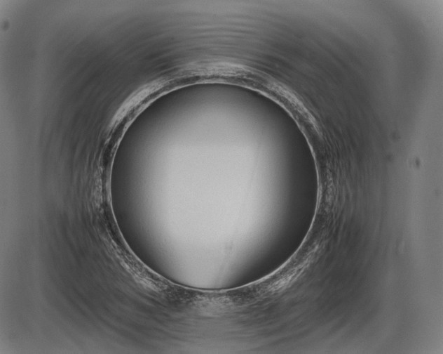 X0000086060978200703301036