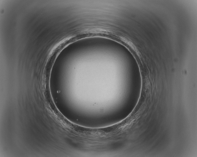 X0000086060979200703301036