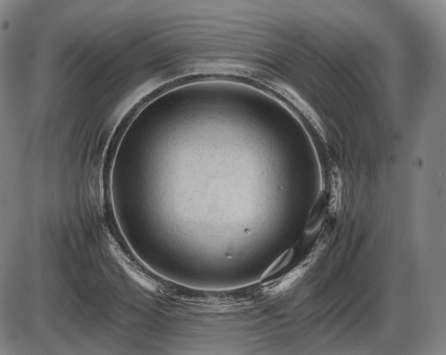 X0000086060980200703301036