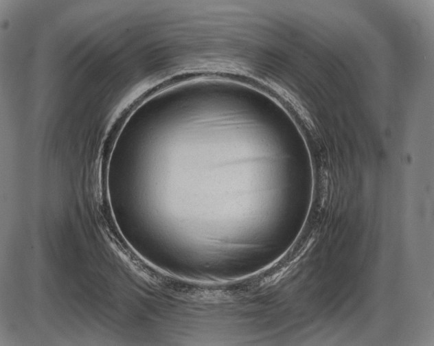 X0000086060982200703301036