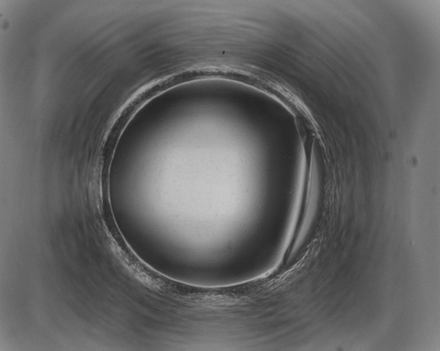 X0000086060984200703301036