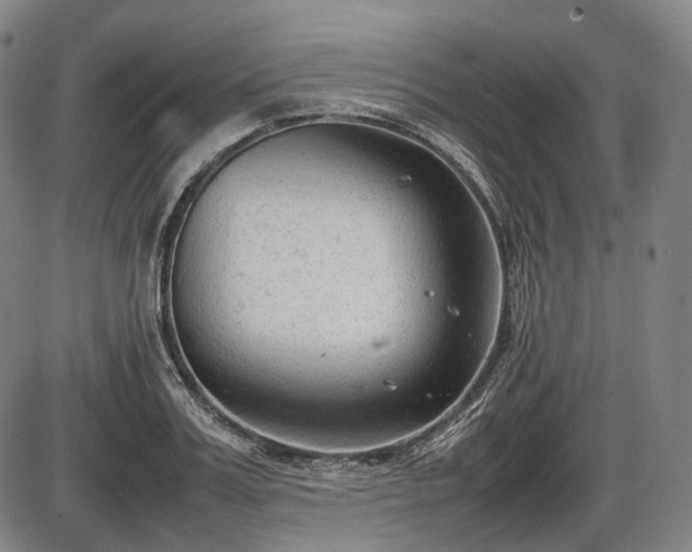 X0000086060987200703301036