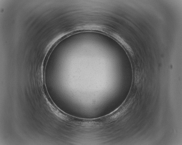 X0000086060988200703301036