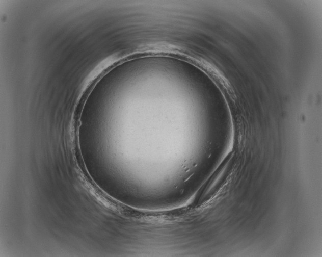 X0000086060990200703301036