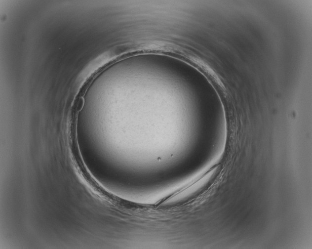 X0000086060991200703301036